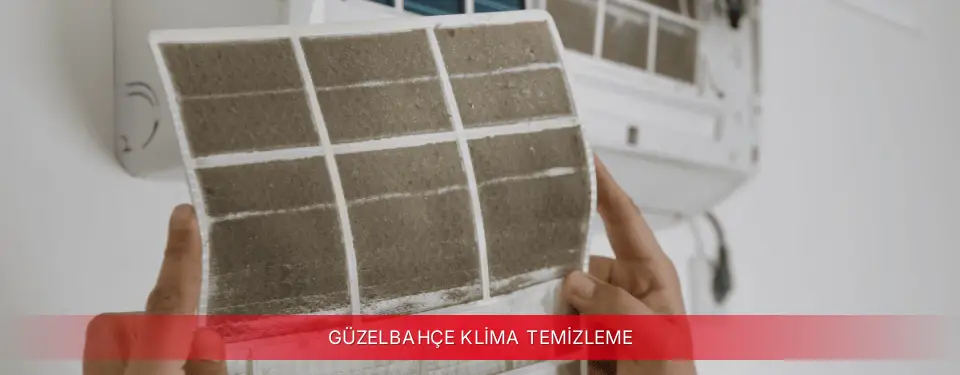 Güzelbahçe İlçemi Mitsubishi Electric Klima Temizleme